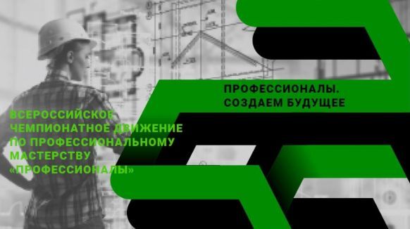 Профессионалы 2